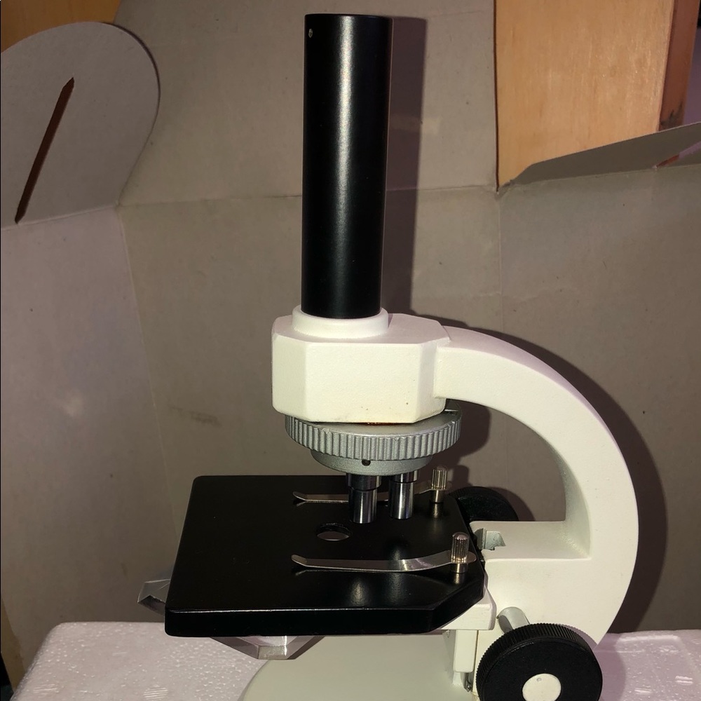 Microscope go out middle schoolers